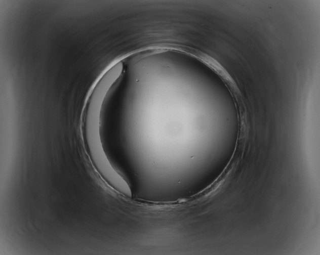 X0000083600908200703021909