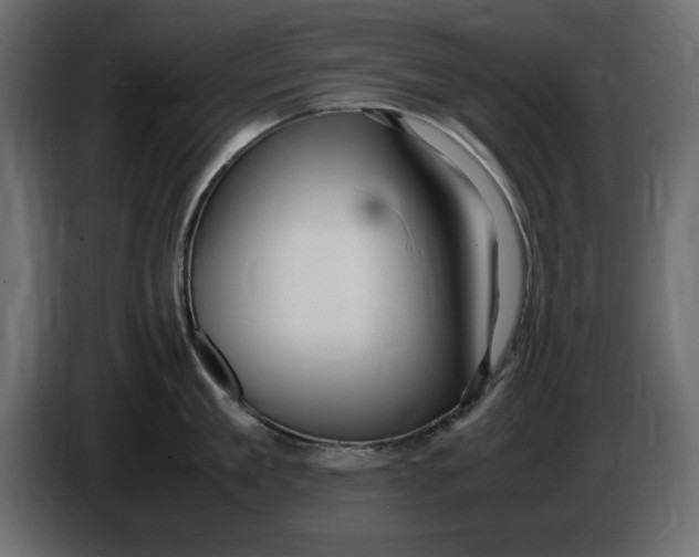 X0000083600909200703021909