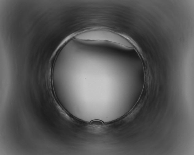 X0000083600910200703021909