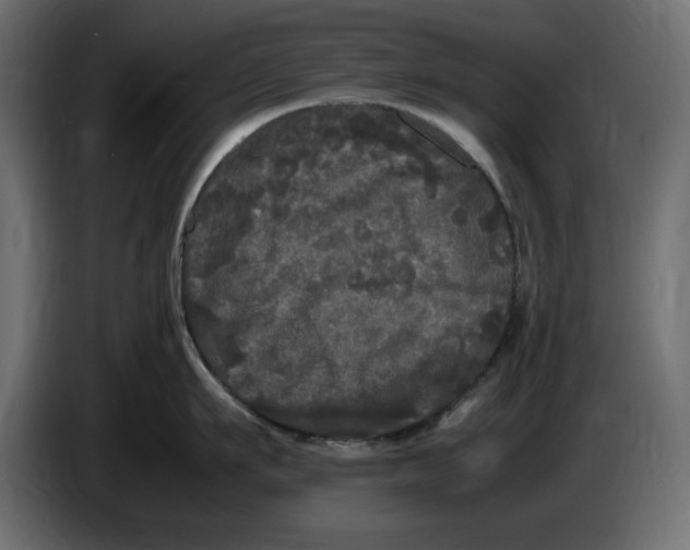 X0000083600911200703021909