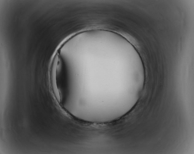 X0000083600912200703021909