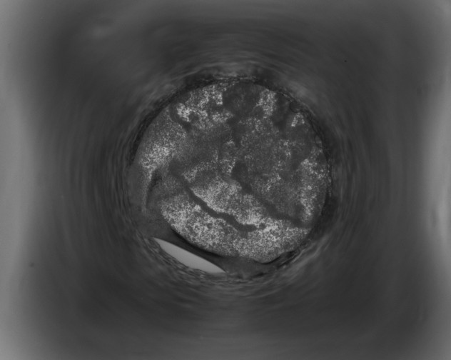 X0000083600913200703021908