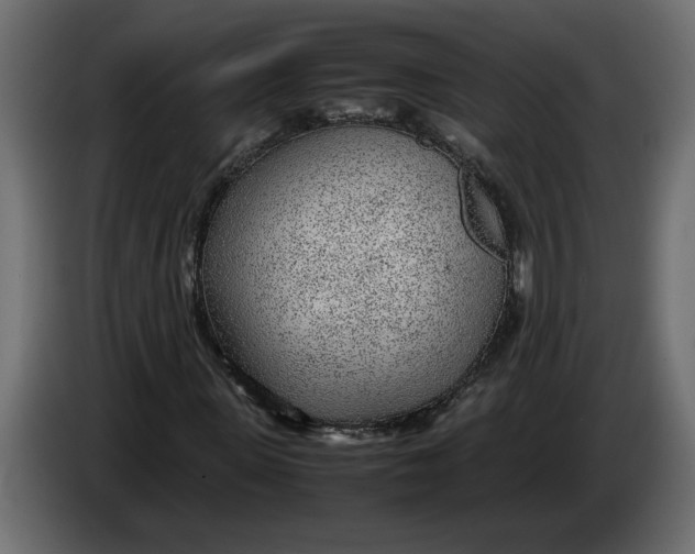 X0000083600915200703021908