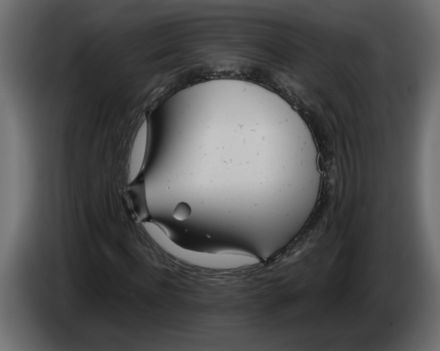 X0000083600916200703021908