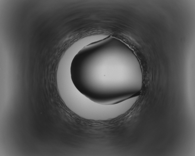 X0000083600917200703021908