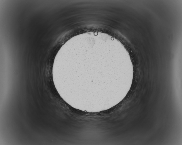 X0000083600918200703021909