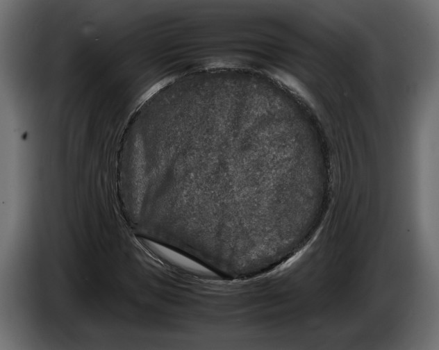 X0000083600921200703021909