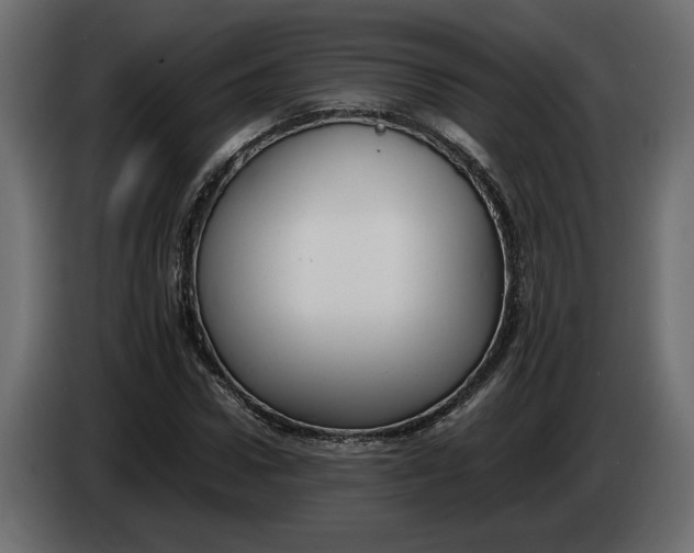 X0000083600922200703021909