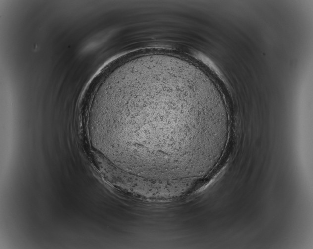 X0000083600923200703021909