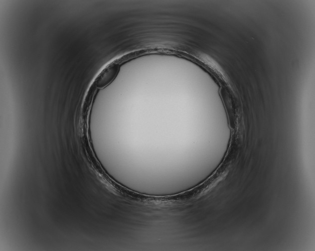 X0000083600924200703021909