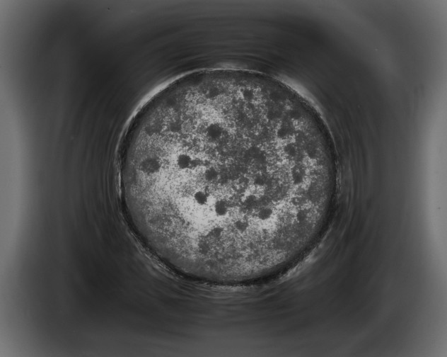 X0000083600925200703021909