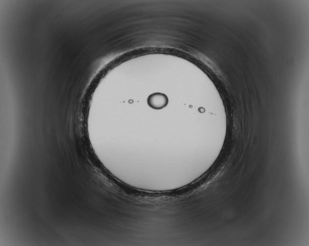 X0000083600926200703021909