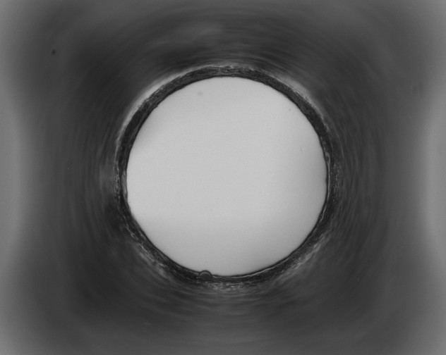 X0000083600927200703021909