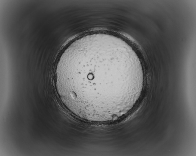 X0000083600929200703021909