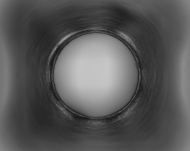 X0000083600931200703021909