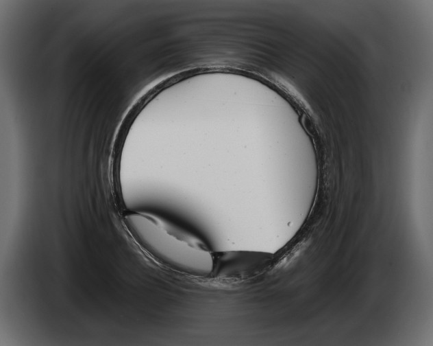 X0000083600932200703021909