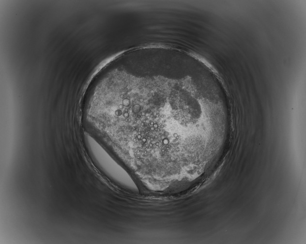 X0000083600933200703021909