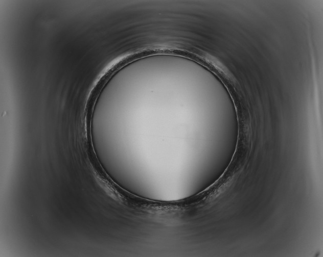 X0000083600934200703021909