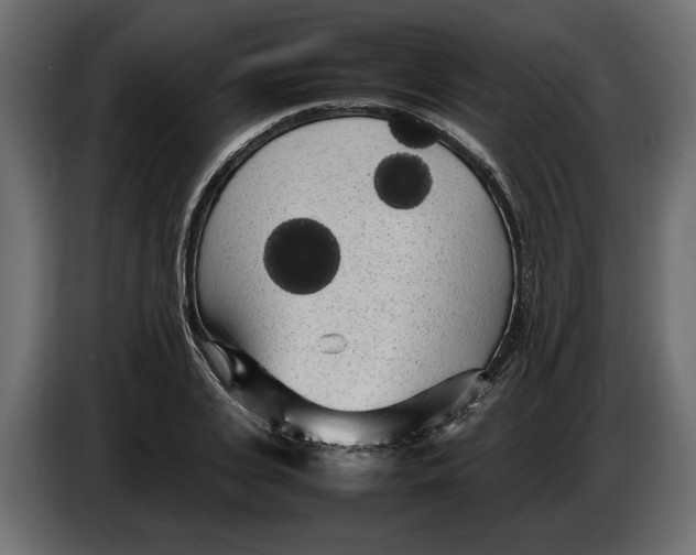 X0000083600935200703021909