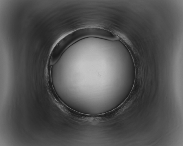 X0000083600936200703021909