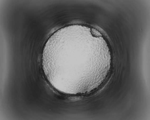 X0000083600937200703021909