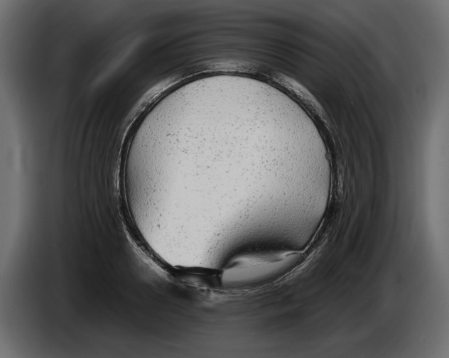 X0000083600938200703021909