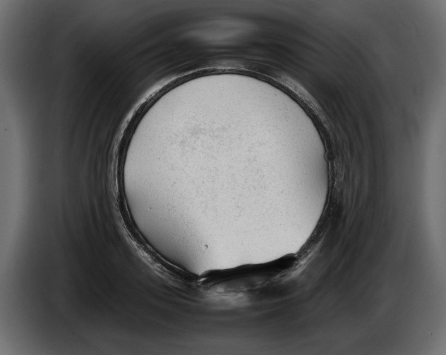 X0000083600939200703021909