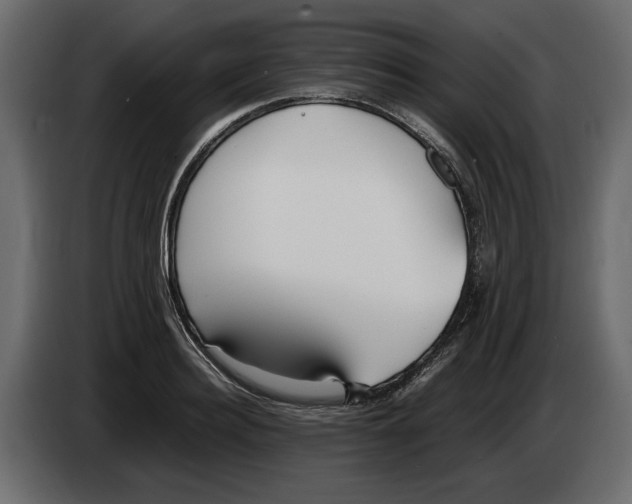 X0000083600940200703021909