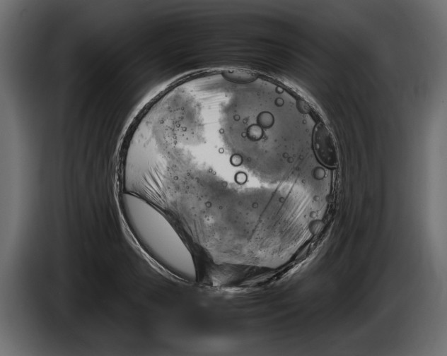 X0000083600941200703021909