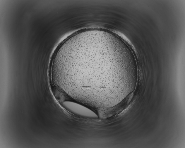 X0000083600943200703021909