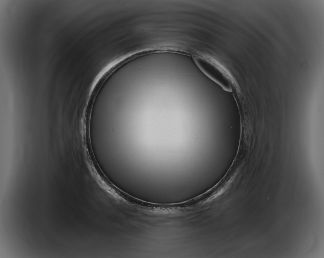 X0000083600944200703021909