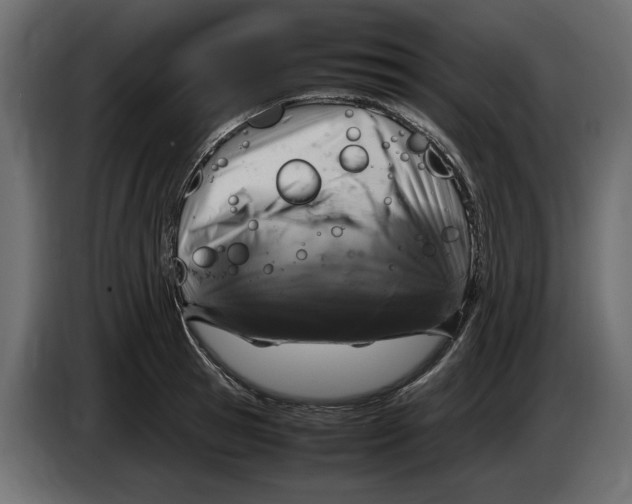 X0000083600945200703021909