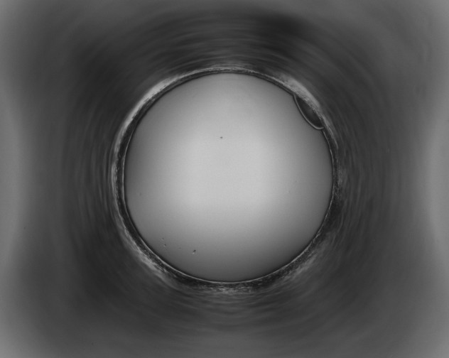 X0000083600947200703021909