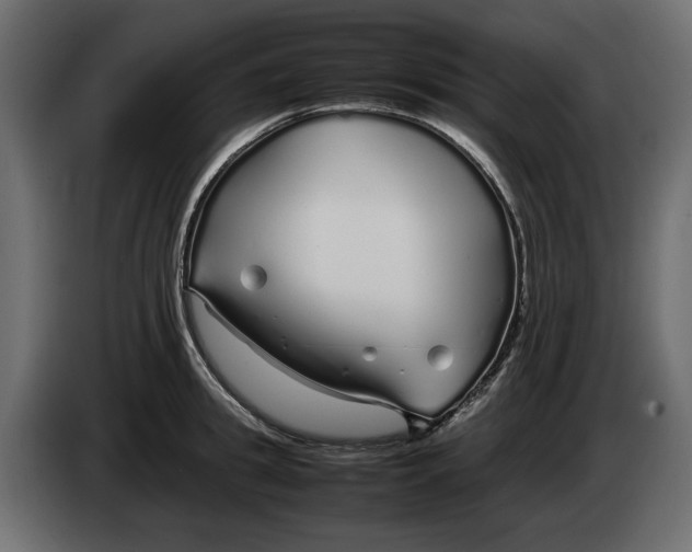 X0000083600949200703021909