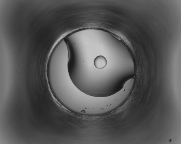 X0000083600950200703021909