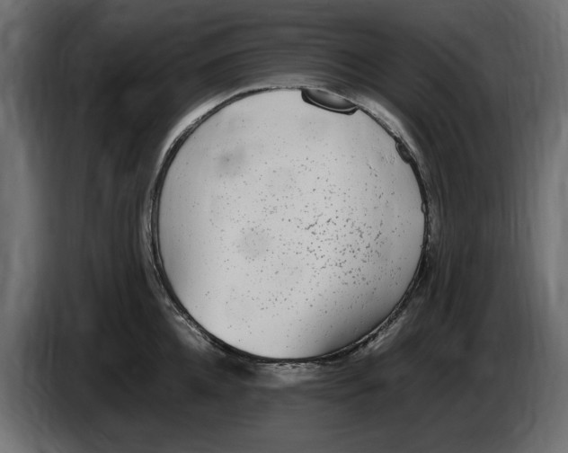 X0000083600952200703021909