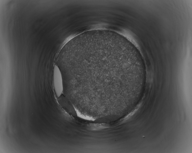 X0000083600953200703021909