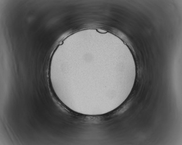 X0000083600954200703021909