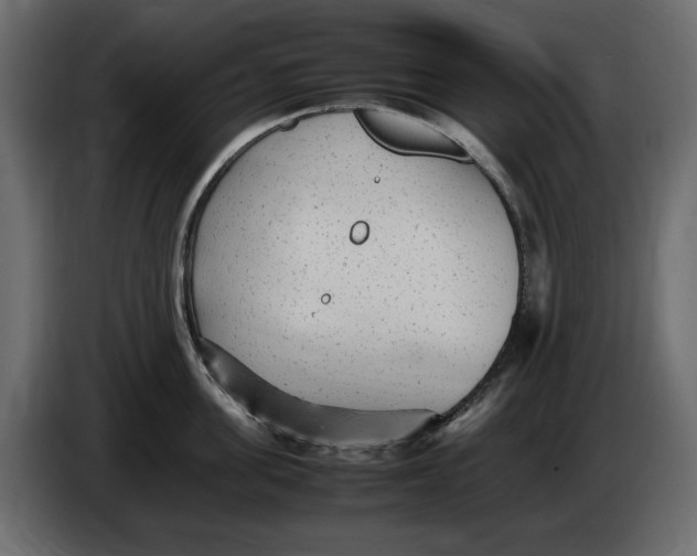 X0000083600955200703021909