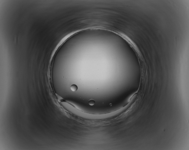 X0000083600956200703021909