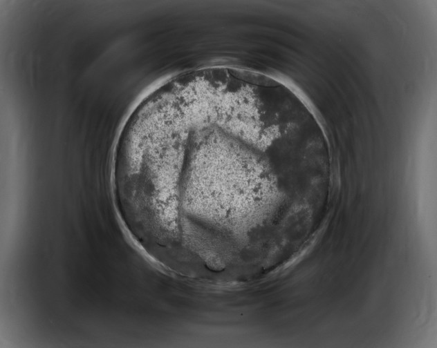 X0000083600957200703021909