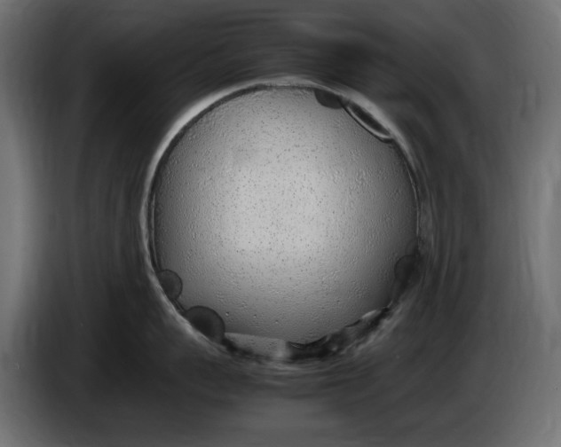 X0000083600959200703021909