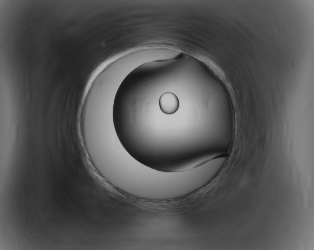 X0000083600960200703021909