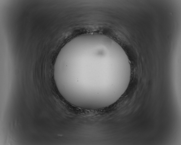 X0000083600961200703021908