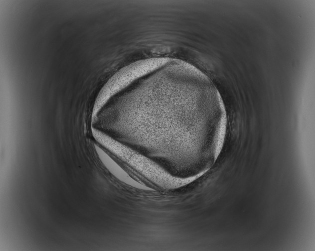 X0000083600962200703021908