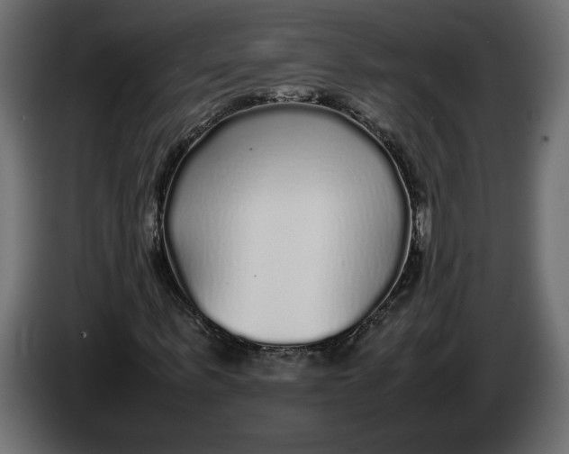 X0000083600963200703021908