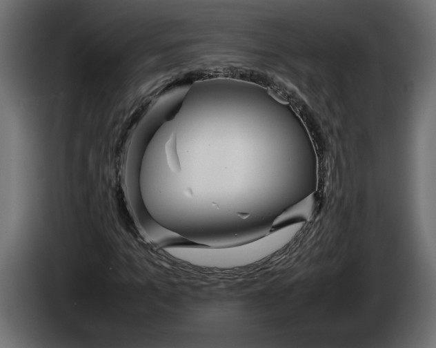 X0000083600965200703021908