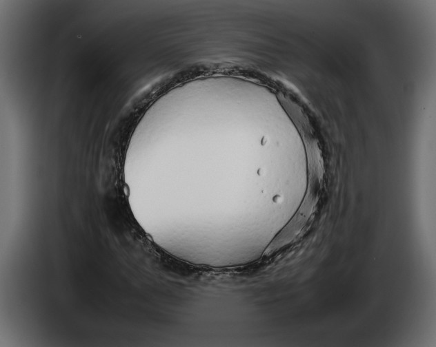 X0000083600967200703021908