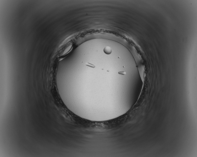 X0000083600968200703021908