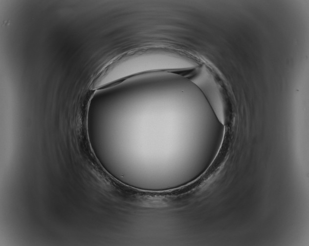 X0000083600969200703021908